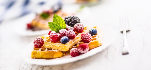 Gaufres fraîches avec des baies de sucre en poudre et des feuilles de menthe.