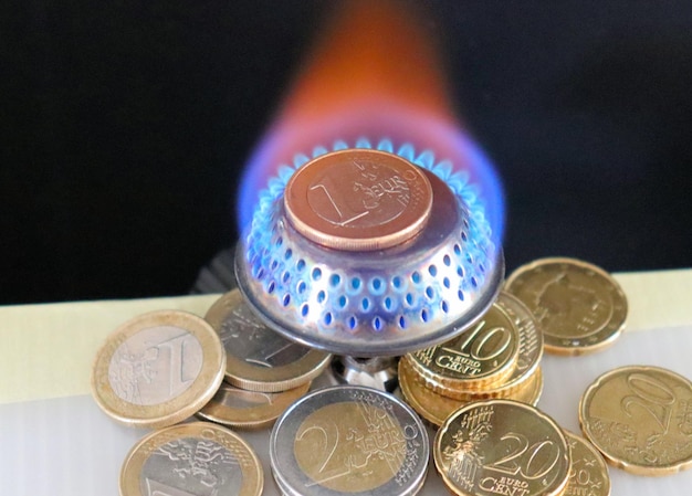 Le gaz brûle dans un brûleur à gaz coût du gaz