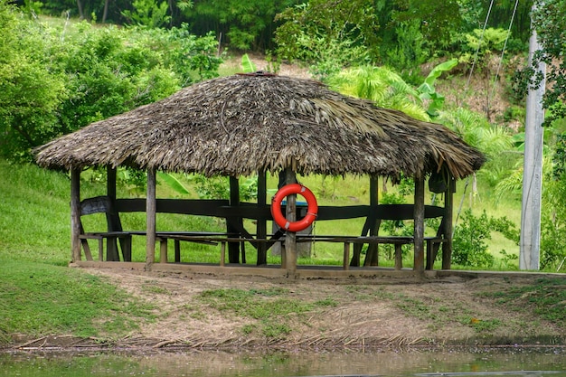 Photo gazebo au toit de chaume sur le champ