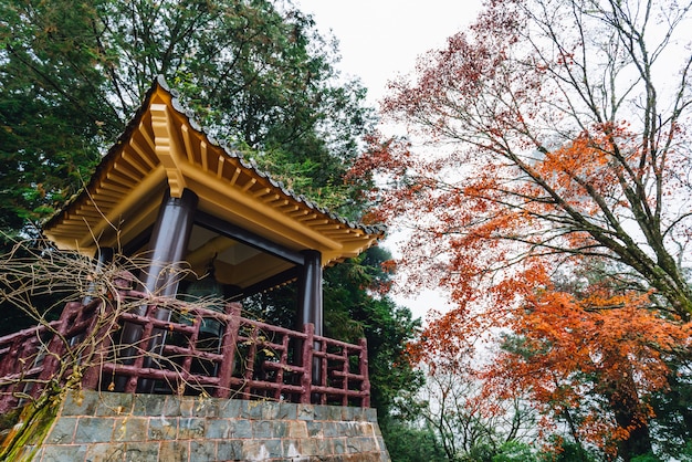 Gazebo chinois avec arbres et érables à Alishan.