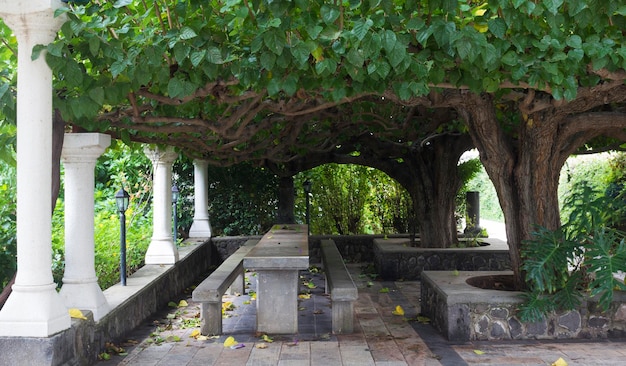 Gazebo pour se détendre dans le parc