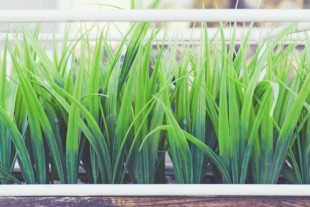 Gazon vert artificiel en plastique