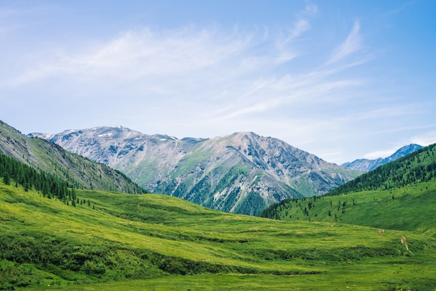 Géant des montagnes de neige au-dessus d'une vallée verdoyante avec Prairie et forêt en journée ensoleillée