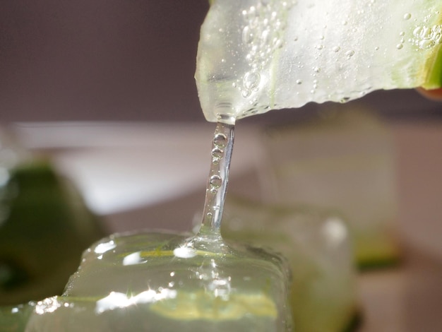 Gel naturel d'aloe vera obtenu à partir des feuilles de la plante