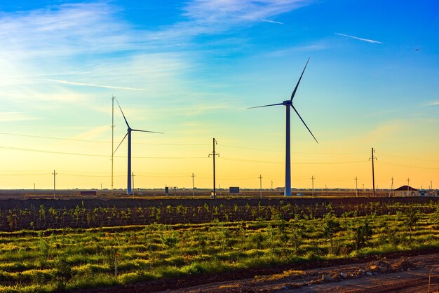 Générateur d'énergie éolienne