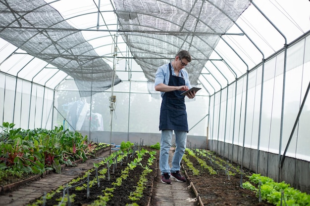 Gens de l'agriculture moderne intelligent tenant une tablette