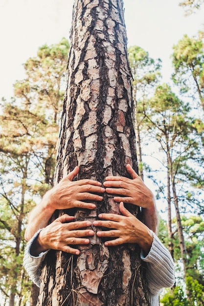 Les gens et l'amour de la nature concept d'environnement avec les mains serrant un tronc d'arbre dans la forêt arrêter la déforestation et sauver la planète terre mission célébration de la journée de la terre