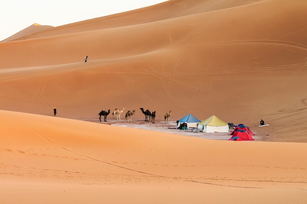 Les gens et les animaux dans le désert contre le ciel