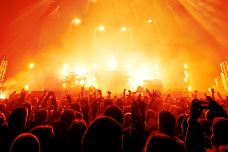 Photo des gens apprécient un concert de musique pendant la nuit.