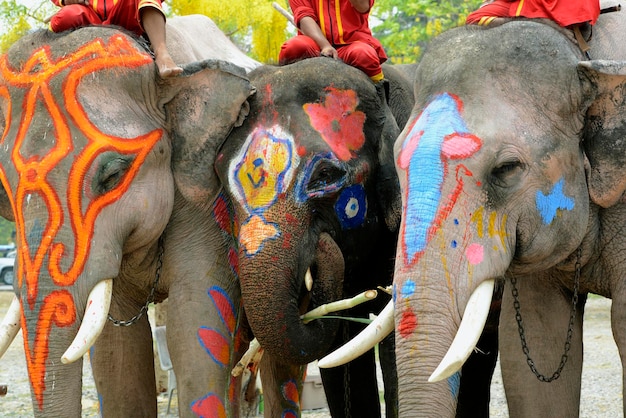 Des gens assis sur des éléphants décorés