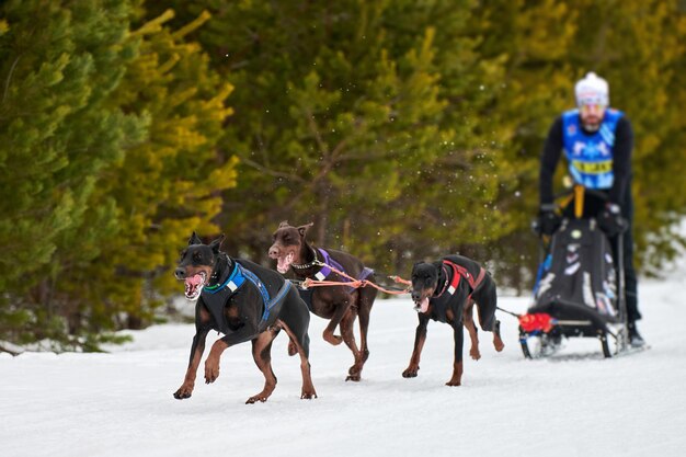 Photo des gens à cheval dans la neige.