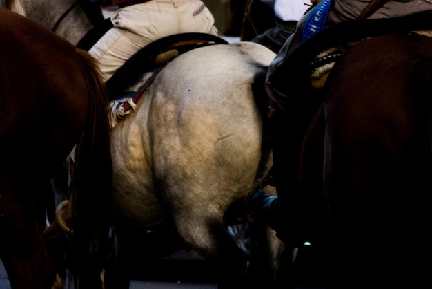 Photo des gens à cheval.