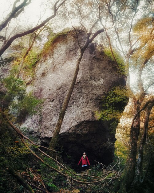 Photo des gens debout sur une formation rocheuse dans la forêt