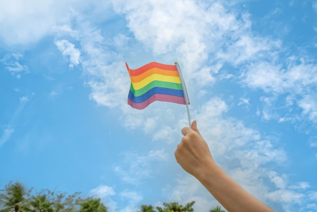Photo les gens de la diversité lèvent ensemble des drapeaux arc-en-ciel lgbtq colorés, un symbole pour la communauté lgbt
