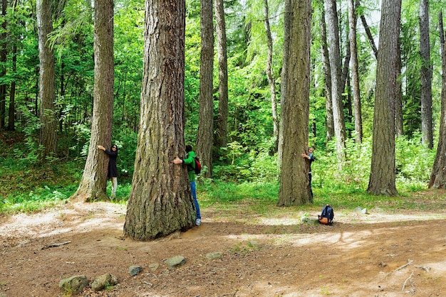 Les gens embrassent les arbres de Valaam sur le lac Ladoga en Carélie en Russie