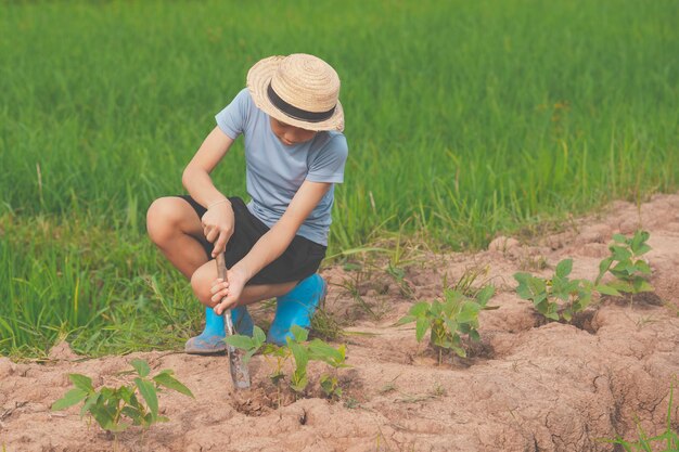 Gens de la famille plantant l'arbre dans le jardin