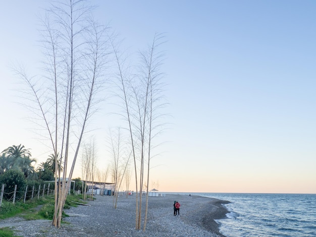 Les gens marchent le long du rivage de galets près d'arbres inhabituels Côte de la Mer Noire Marche avant le coucher du soleil