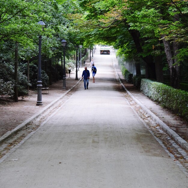 Photo des gens marchent sur la route au milieu des arbres.