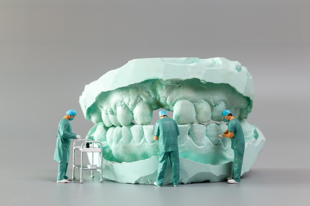 Photo des gens en miniature un dentiste exposant des modèles dentaires et des modèles d'orthodontie en plâtre