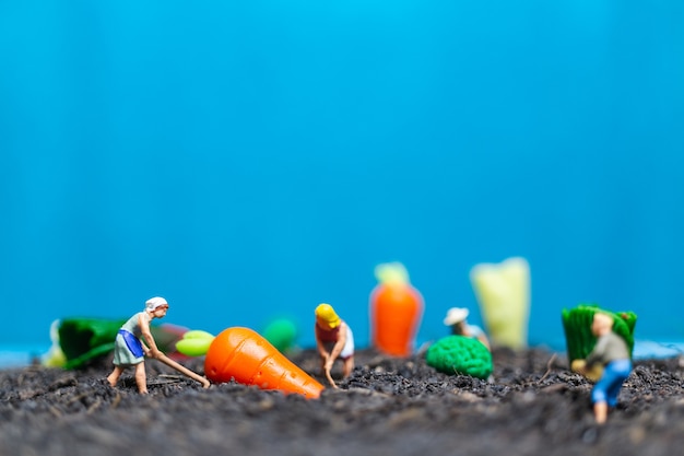 Gens de miniature, jardiniers récoltant un légume