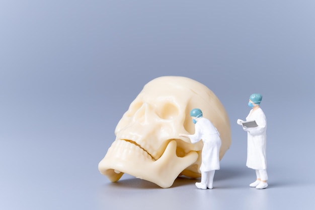 Gens miniatures Docteur avec un crâne humain géant sur fond gris