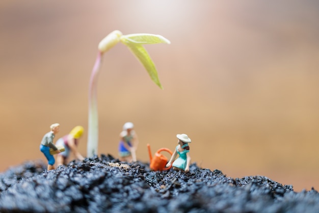 Les gens miniatures, jardiniers prennent soin poussent la pousse dans le champ