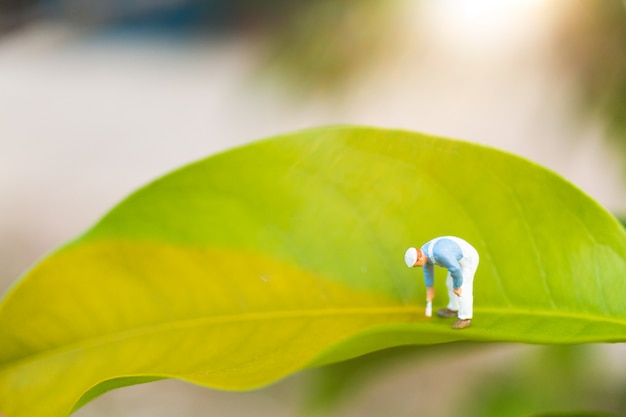 Gens miniatures: peintres à colorier sur une feuille verte avec une verdure floue