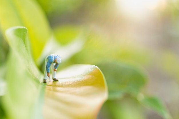 Gens miniatures: peintres à colorier sur une feuille verte avec une verdure floue