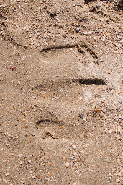 Les gens pieds dans le sable sur la plage