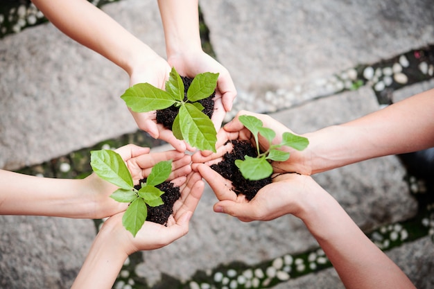 Les gens plantent de nouvelles plantes