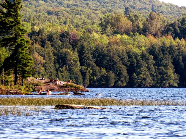 Photo les gens profitent de l'été au bord du lac contre les arbres