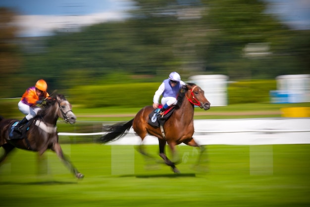 Photo des gens qui jouent au polo.