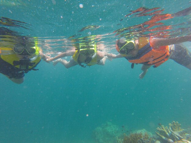 Photo des gens qui nagent en mer.