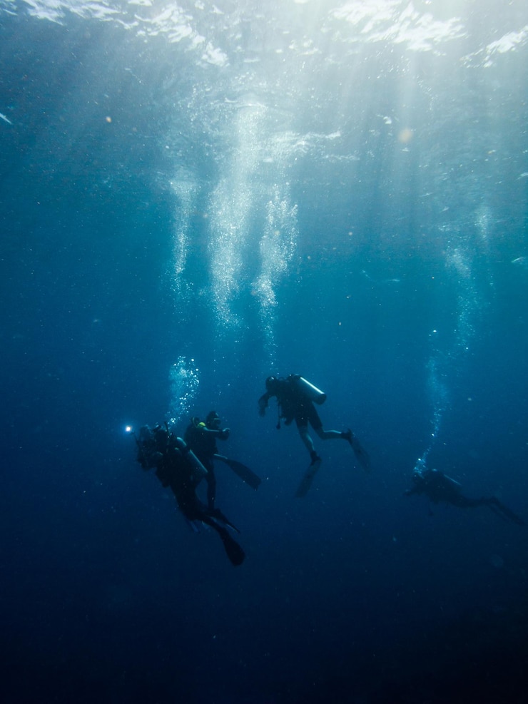 Photo des gens qui nagent en mer.