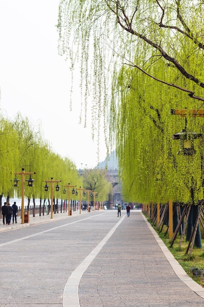 Les gens sur le remblai marchent jusqu'aux grottes de Longmen