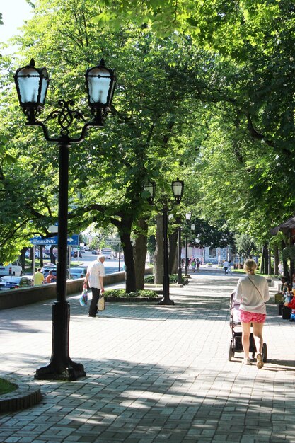 les gens se reposent dans le parc de la ville avec de grands arbres