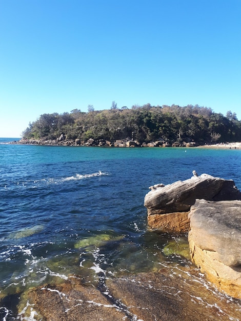 Les gens de Shelly Beach font des sports nautiques sur la mer à Sydney le 24 août 2019