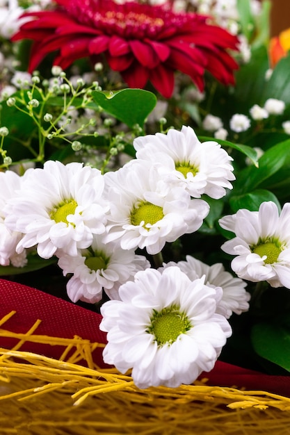 Gerbera Chrysanthème et rose