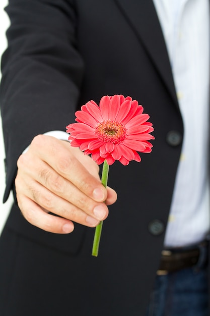 Gerbera sur la main de l&#39;homme