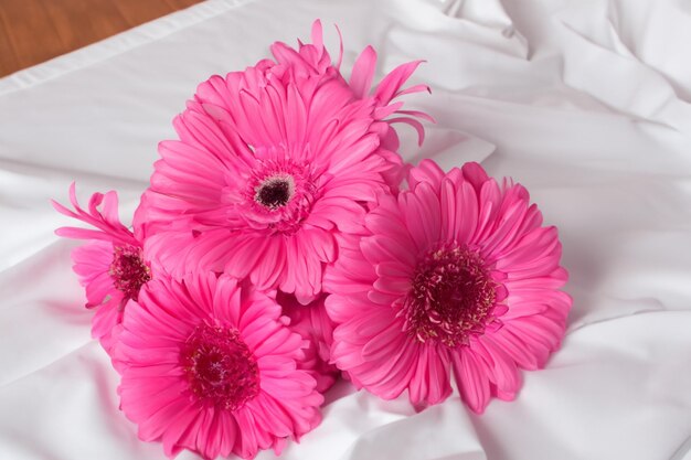 Gerberas roses isolées sur fond floral en feuille blanche