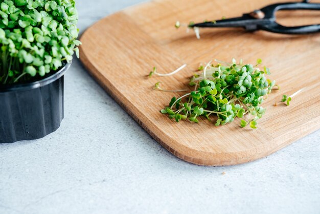 Germes de micro-verts de roquette fraîchement coupés sur la planche à découper dans la cuisine