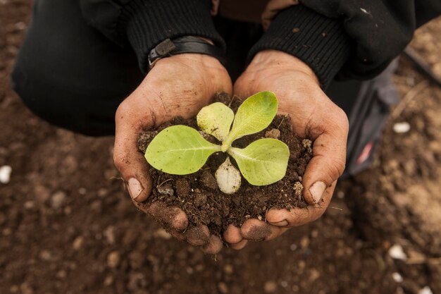 Germes de plantes et agriculteurs du sol montrant le concept de croissance