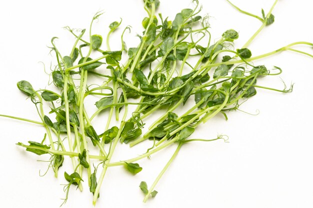 Germes de pois sur fond blanc Mise à plat