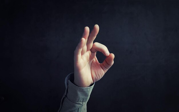 Gestes des doigts Mains mâles sur fond gris Gesticulation avec les mains