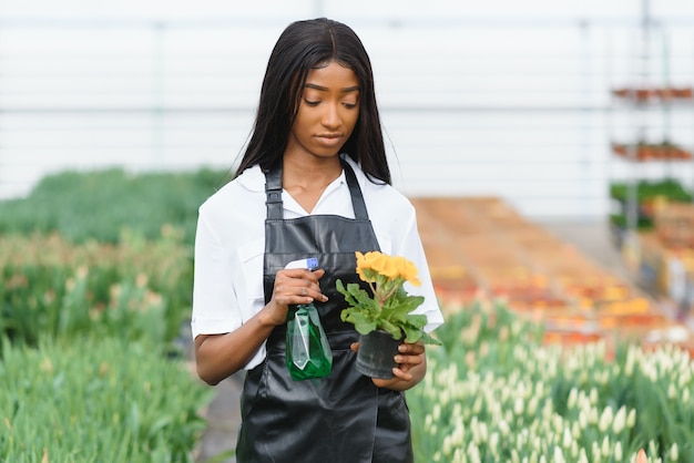 Gestion agricole. Sourire, afro-américain, contrôle, fleurs, dans, serre, vue côté, espace libre