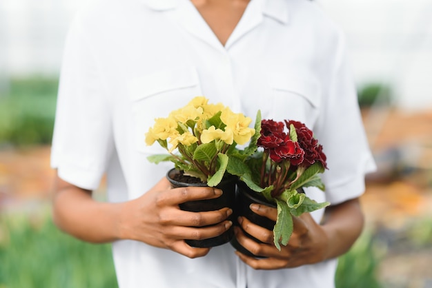 Gestion agricole. Sourire fille afro-américaine vérifie la plantation de fleurs en serre, vue latérale, espace libre