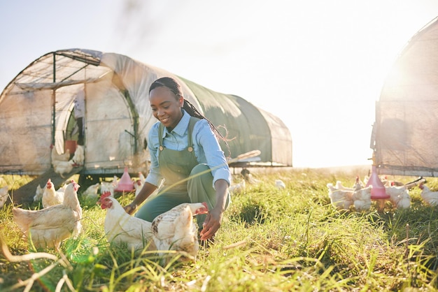 Gestion de ferme femme noire et poulet sur l'agriculture dans un environnement écologique et durable avec du bétail Champ de campagne et agro-agriculteur avec le sourire de l'élevage de soins aux animaux et du travail dans la nature