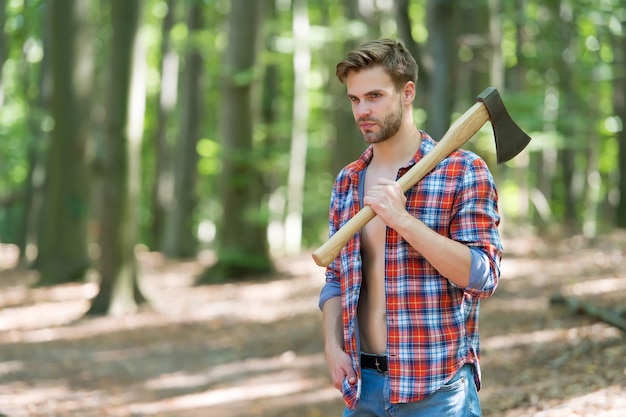 Gestion de la forêt. Un beau mec porte une hache à découper en bois. Abattage d'arbres. Exploitation forestière. A la manière du bûcheron. Nature d'été. Paysage naturel. Ecologie et environnement. Restauration des fonctions écosystémiques.