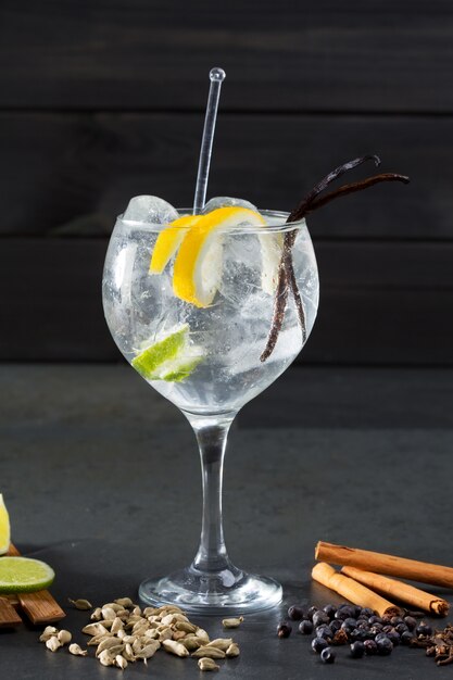 Gin tonic cocktail à la lima et de nombreuses épices