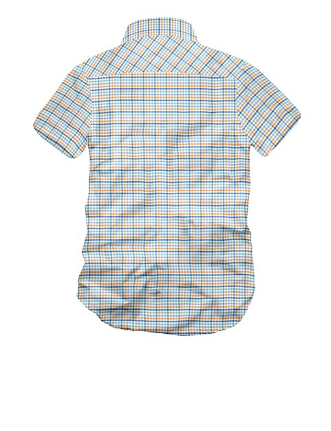 Gingham vérifie une chemise moderne à vue arrière